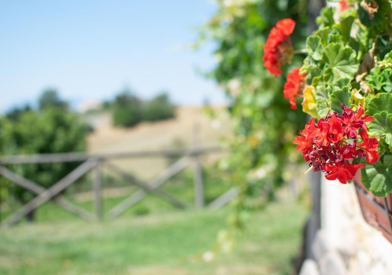 Torre Gialluise Farm stay
