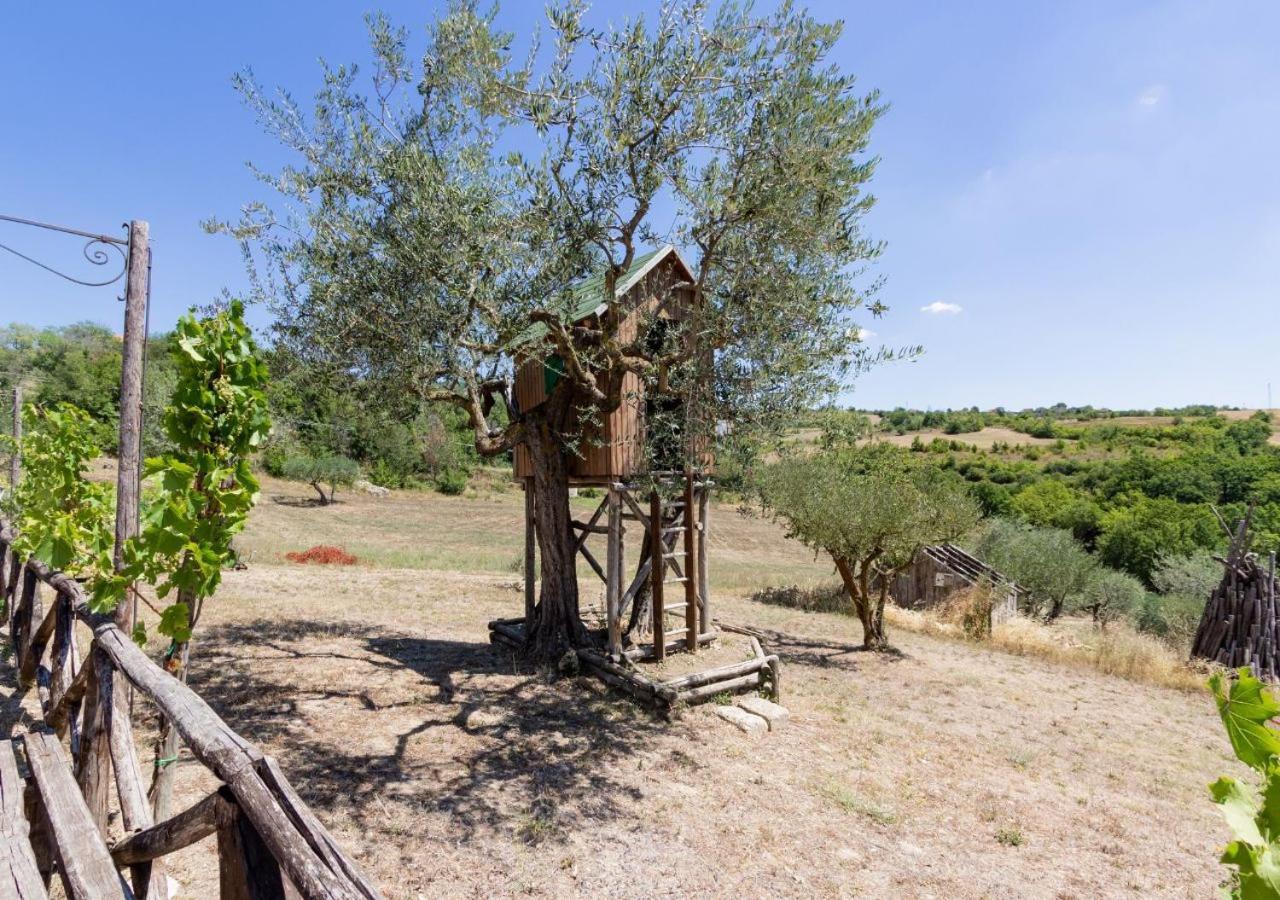 Farm stay Torre Gialluise Gesualdo