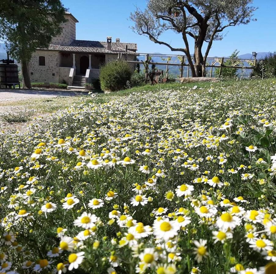 Farm stay Torre Gialluise Gesualdo