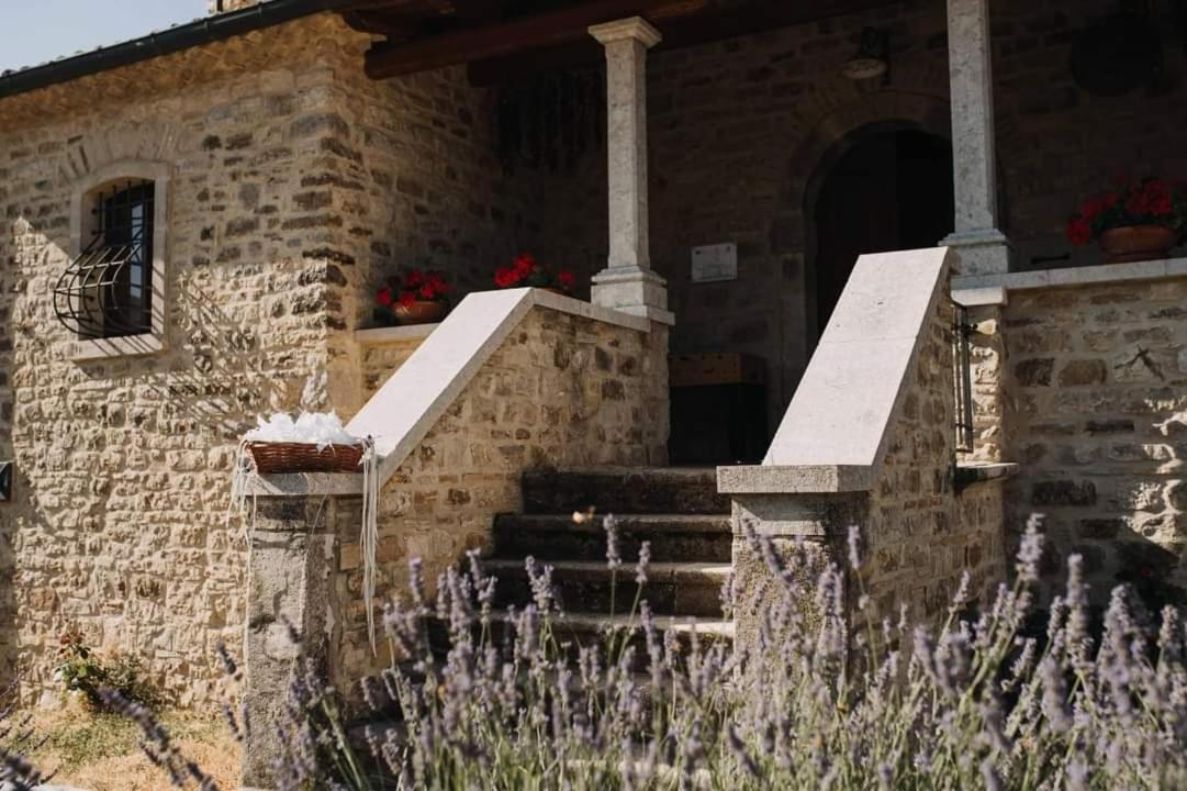 Torre Gialluise Farm stay