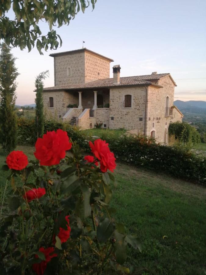 Torre Gialluise Farm stay Gesualdo